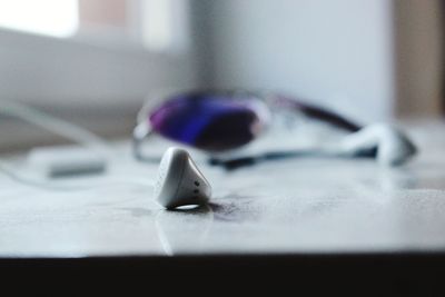 Close-up of leaf on table at home