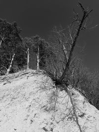 Bare tree against sky during winter