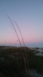 Scenic view of sea against clear sky at sunset