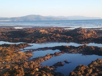 Scenic view of sea against clear sky