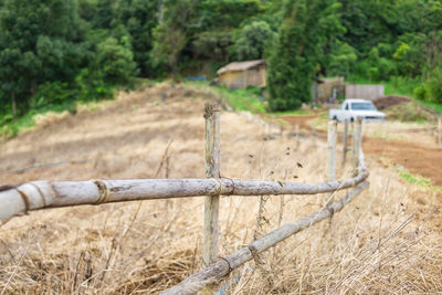 Wooden fence on field by trees