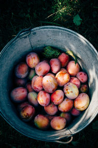 High angle view of apples in bowl