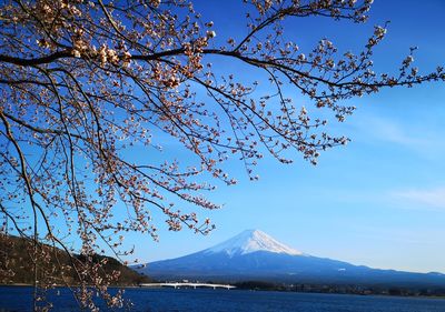 Scenic view of snow covered mountains against blue sky