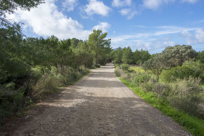 Dirt road along trees and plants against sky