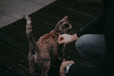 High angle view of man with dog