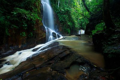 Scenic view of waterfall in forest