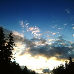 Low angle view of silhouette trees against sky
