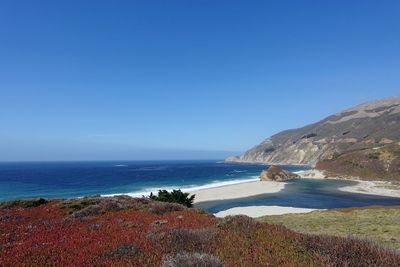 Scenic view of beach and sea against clear blue sky