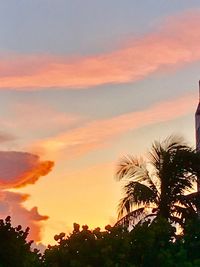 Low angle view of silhouette palm trees against romantic sky