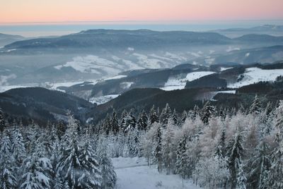 High angle view of frozen trees on mountain during winter