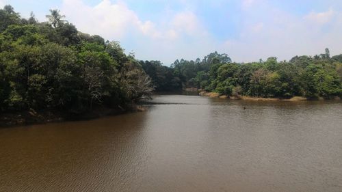 Scenic view of river amidst trees against sky