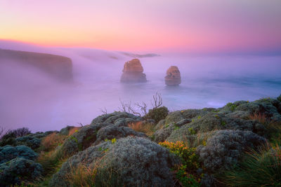 Foggy morning at the gibson steps. great ocran road, victoria australia.