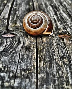 Close-up of wooden plank