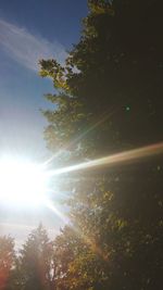 Scenic view of tree against sky