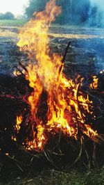 Close-up of bonfire at night