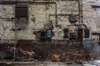 View of a cat on building wall