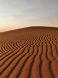 Sand dune in desert against sky