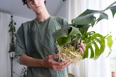 Young man with monstera deliciosa, swiss cheese roots, sprouts to sort preparing. cultivation caring 