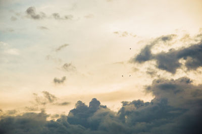 Low angle view of bird flying against sky