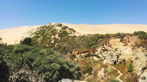 Scenic view of landscape against clear sky