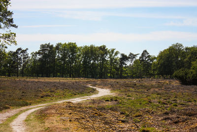 Scenic view of trees growing on field against sky