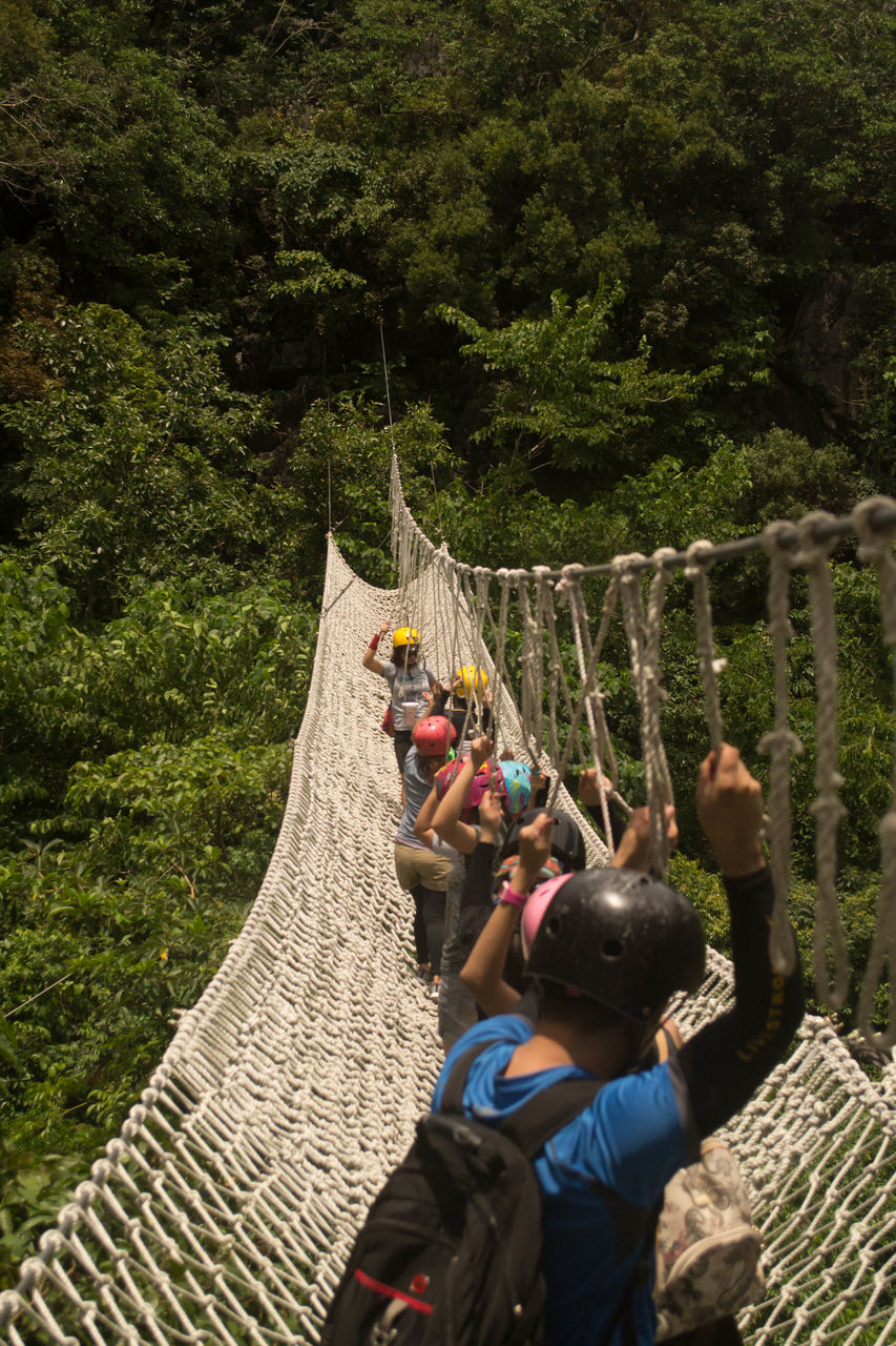 tree, plant, men, leisure activity, rope, nature, forest, women, lifestyles, group of people, adult, adventure, rope bridge, land, day, rear view, outdoors, bridge, activity, childhood, high angle view, child, jungle, casual clothing, travel, female, togetherness, green, full length, climbing, architecture, tourism, holiday