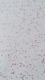 High angle view of pink petals on sand