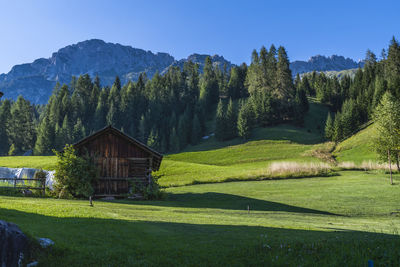 Scenic view of trees and houses against sky