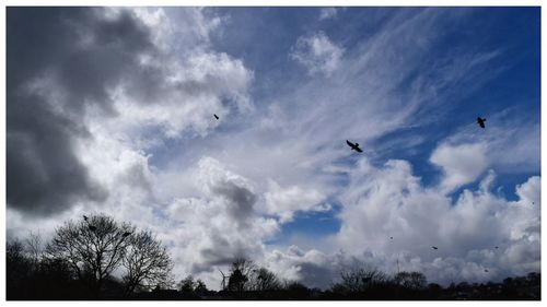 Low angle view of bird flying against cloudy sky