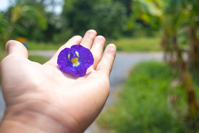 Close-up of person holding hand