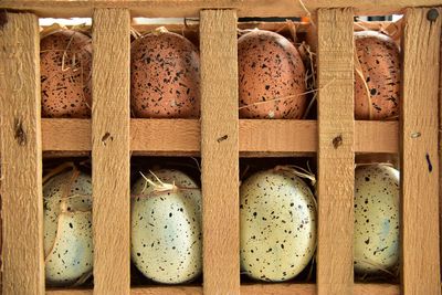 Close-up of wooden door
