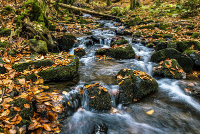 Water flowing through rocks in forest