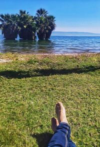 Low section of person on sea shore