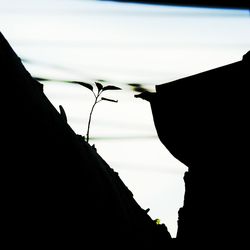 Low angle view of silhouette built structure against sky