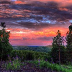 Scenic view of landscape against cloudy sky