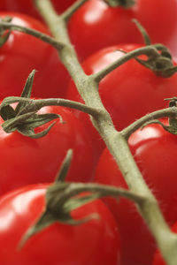 Full frame shot of red plant