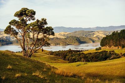 Scenic view of river and mountains against sky