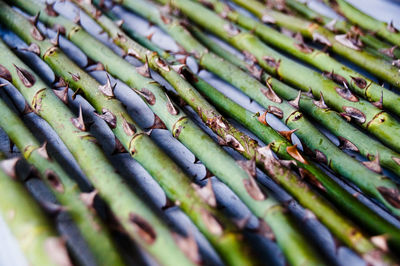 Full frame shot of sprickly vegetables in market