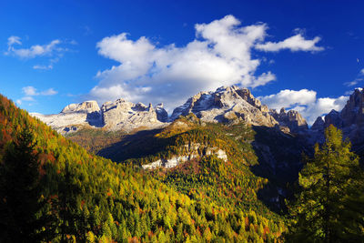 Panoramic view of trees and mountains against sky