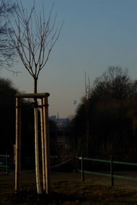 Bare tree against sky