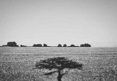 Scenic view of landscape against clear sky