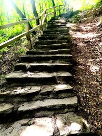 Low angle view of staircase in forest