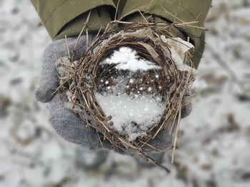 Close-up of snow on land