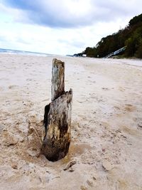 Wooden posts on beach against sky
