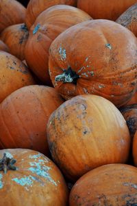 Close-up of pumpkins for sale at market stall
