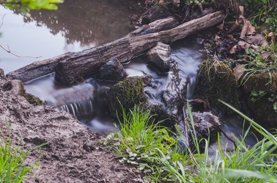 View of waterfall in forest