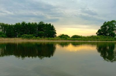 Reflection of trees in lake