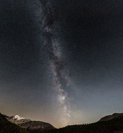 Low angle view of star field against sky at night