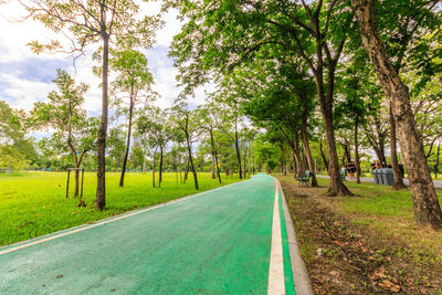 Road amidst trees in city against sky