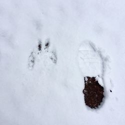 High angle view of snow on field